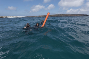 Divemaster Course Galapagos