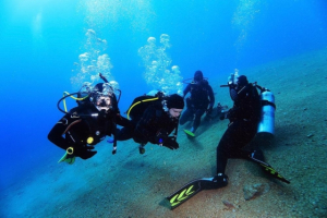 PADI Open Water Diver License Galapagos