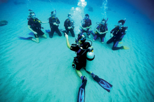 PADI Scuba Diver Certification Galapagos