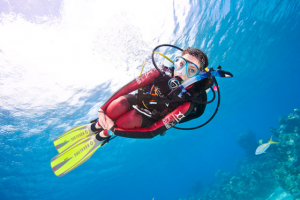 Specialities Diving Courses Galapagos