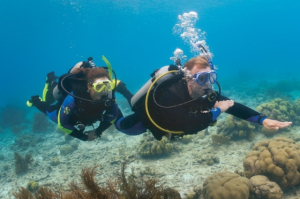 PADI Advanced Open Water Diver License Galapagos