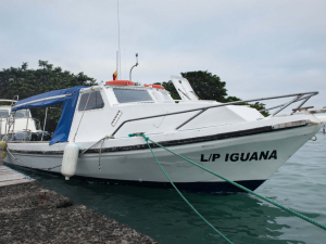 Dive Boat Scuba Iguana