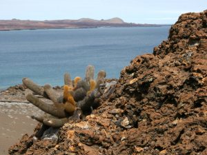 Galapagos Bartolome Land Tour