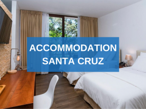 Accommodation Santa Cruz Galapagos