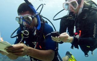 Dive Master Internship Galapagos