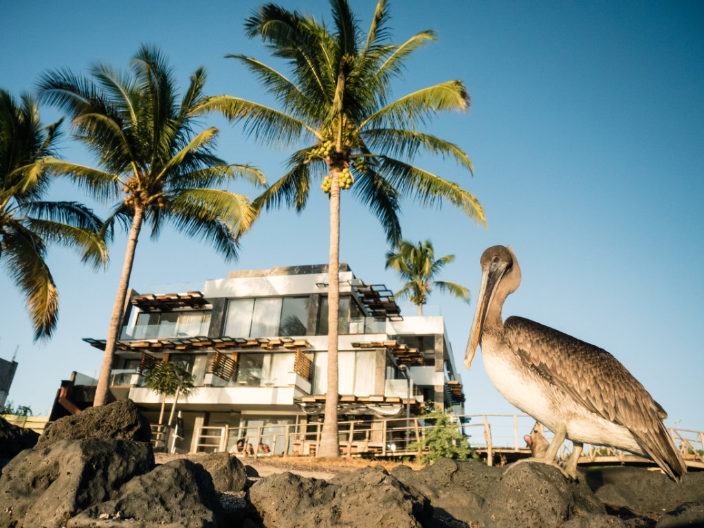 Hotel and Spa Golden Bay Accommodation Galapagos San Cristobal