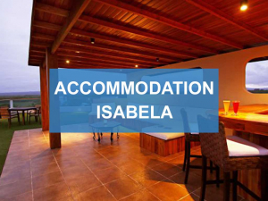 Accommodation Isabela Galapagos