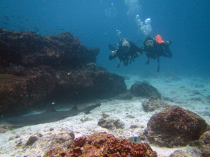 Galapagos PADI Dive Courses