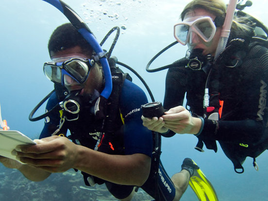 Dive Master Internship Galapagos